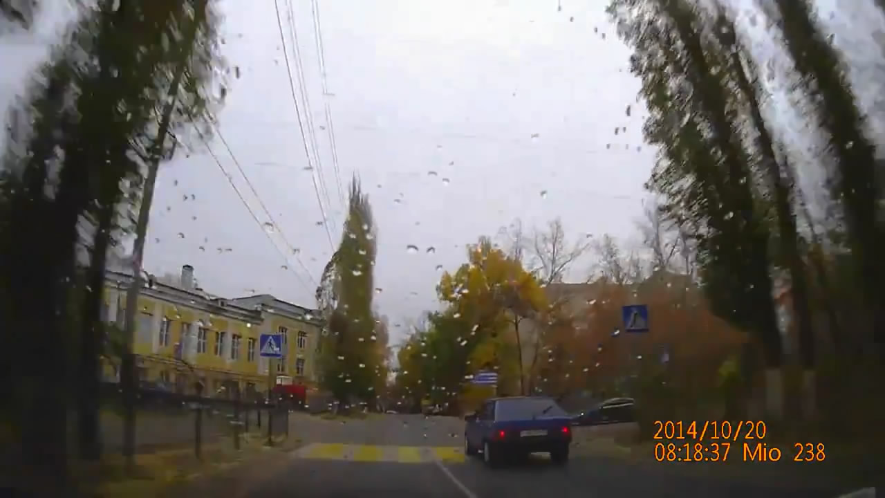 Попытка спасти собаку, и лобовое столкновение Попытка спасти собаку, и лобовое столкновение
