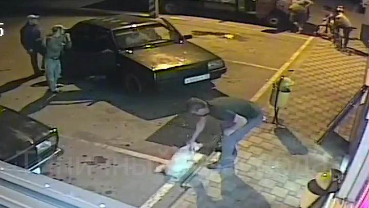 На Кубани пьяный мужчина избил собаку и получил по заслугам На Кубани пьяный мужчина избил собаку и получил по заслугам