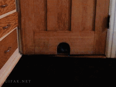 Gif солянка gif, гив-анимация