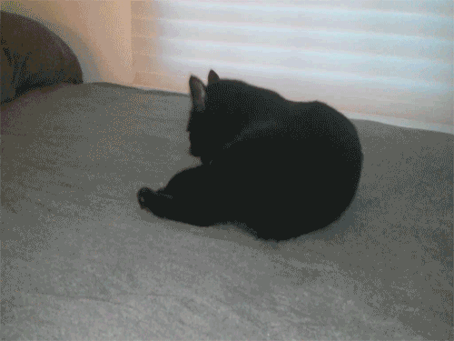 Gif солянка gif, гив-анимация