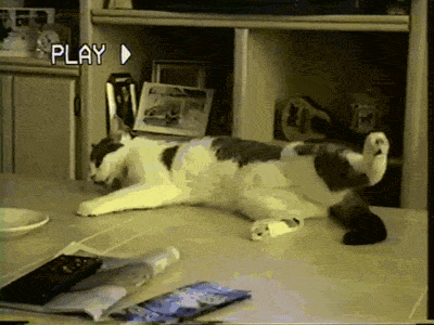Gif солянка gif, гив-анимация