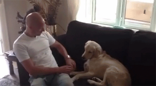 Gif солянка gif, гив-анимация