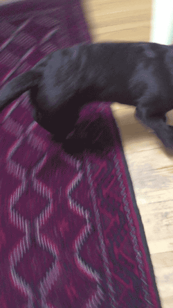 Gif солянка gif, гив-анимация