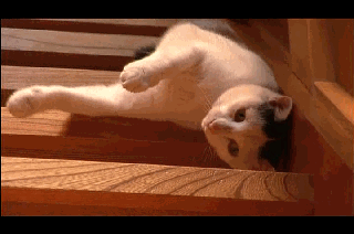 Gif солянка gif, гив-анимация