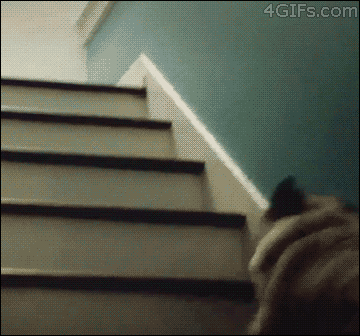 Gif солянка gif, гив-анимация