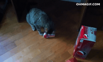 Gif солянка gif, гив-анимация