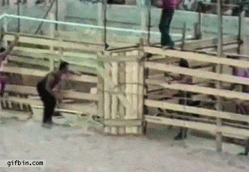 Побег! гифки, животные, юмор