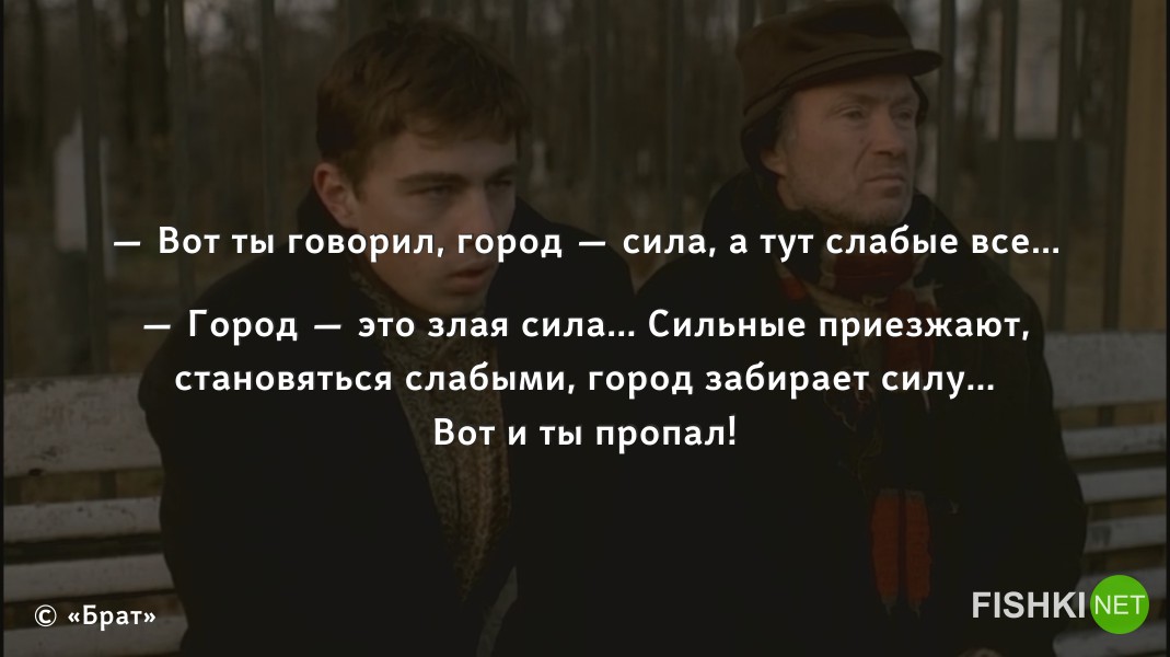 Могила цитата из фильма Могила цитата из фильма