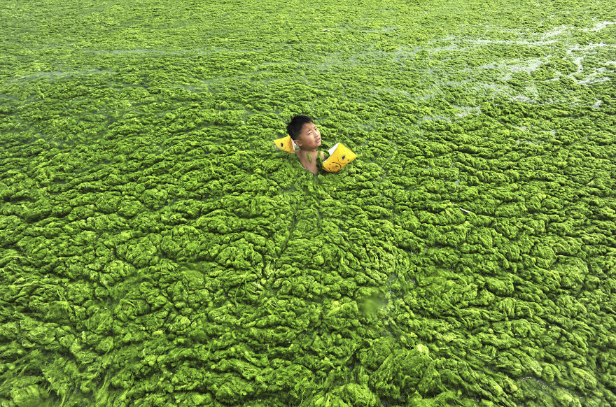 18. Ребенок плавает в водорослях загрязнение, мир, фото