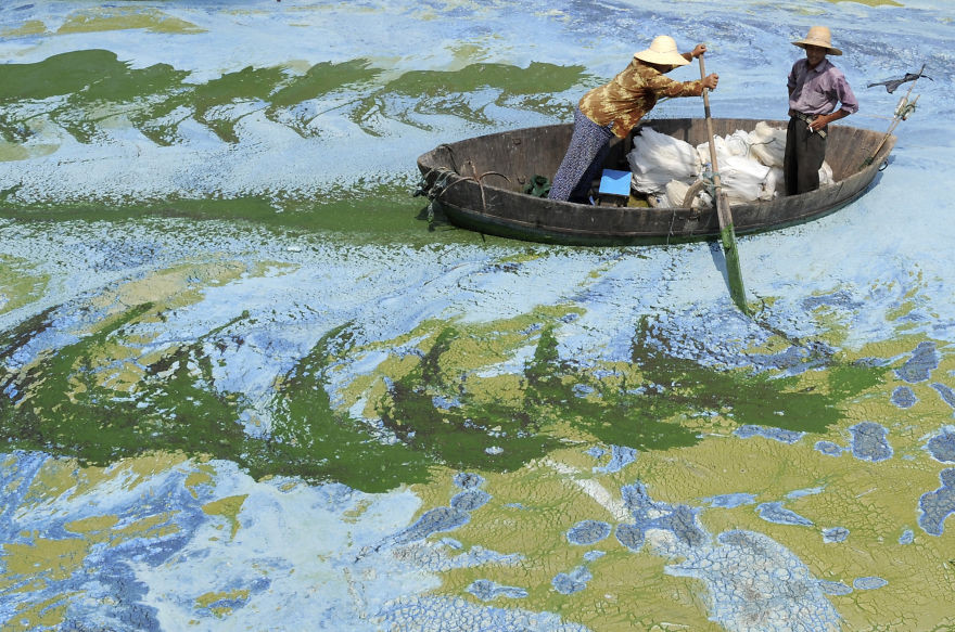 24. Загрязненное озеро Чаоху, в провинции Аньхой, Китай загрязнение, мир, фото
