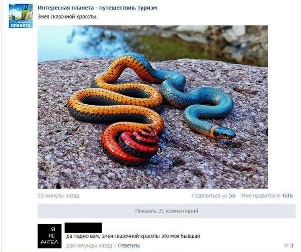 Прикольные комментраии и смешные диалоги из социальных сетей Прикольные комментраии и смешные диалоги из социальных сетей комментарии, скриншоты, соц сети, юмор