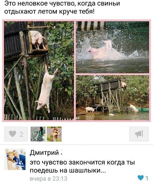 Прикольные комментраии и смешные диалоги из социальных сетей Прикольные комментраии и смешные диалоги из социальных сетей комментарии, скриншоты, соц сети, юмор