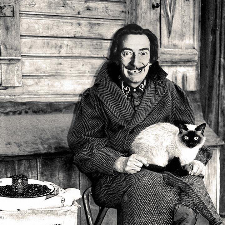 4. Ещё одна бизнес-идея в сложное время. 4. Ещё одна бизнес-идея в сложное время. прикол, сальвадор дали, фотожаба