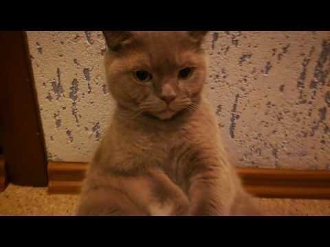 Ему так нравится Ему так нравится