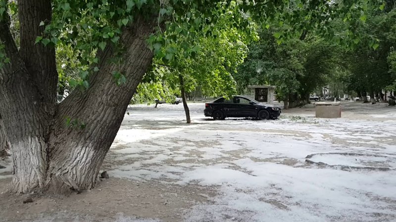 Пух. Тополиный пух Пух. Тополиный пух