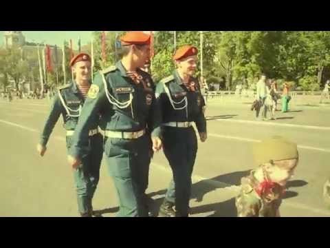 Карусель его помчит, музыкой звеня Карусель его помчит, музыкой звеня