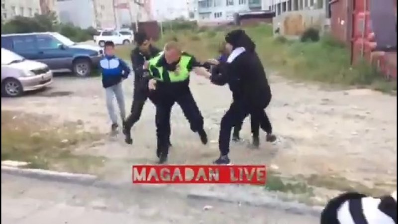 Псы с городских окраин Псы с городских окраин