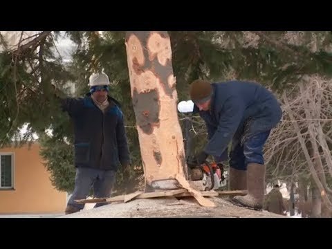 Мнение жителя Бийска о городской ёлочке Мнение жителя Бийска о городской ёлочке