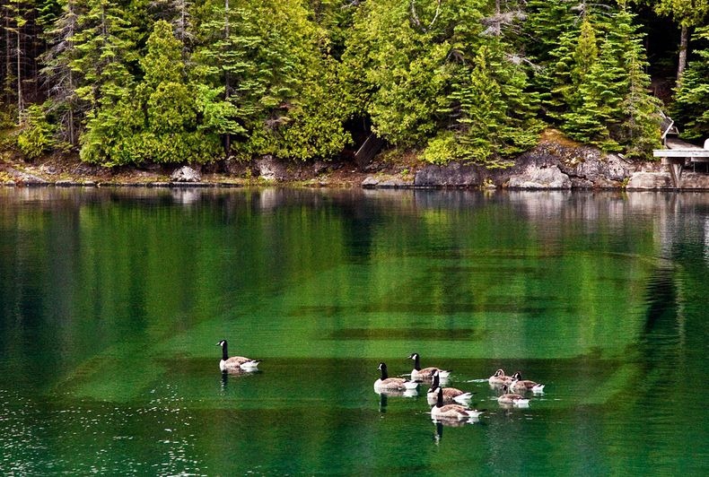 Shipwrecks At Big Tub Harbour In Lake Huron