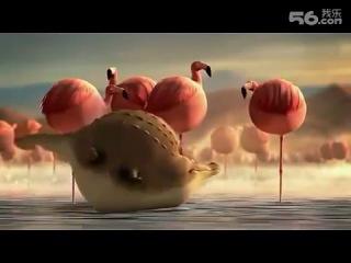 Hilarious Cartoons About Fat Ballon-Shaped Animals 