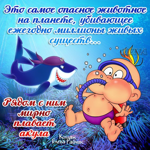 02-11.jpg