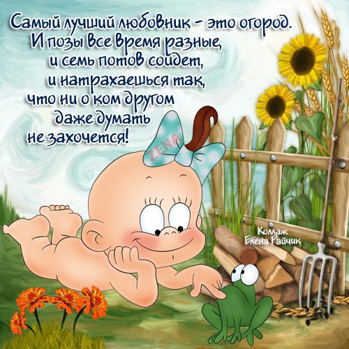0206-15.jpg