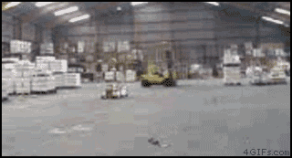 e1b87f37e060109a9702717781aed487.gif
