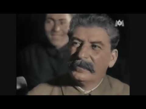 Сталин в цвете 