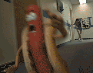 d9ae2da14f1b666a7e99e4b08abf665f.gif