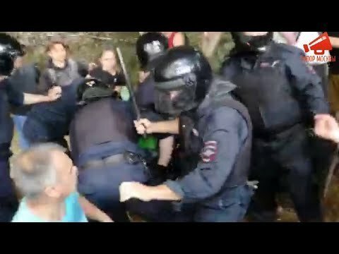 Полицейские избили защитников леса в Подмосковье 