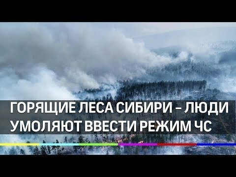 Горящие леса Сибири - люди умоляют ввести режим ЧС с помощью петиции