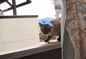a04a4853c12800e910775745dc5b78f2.gif