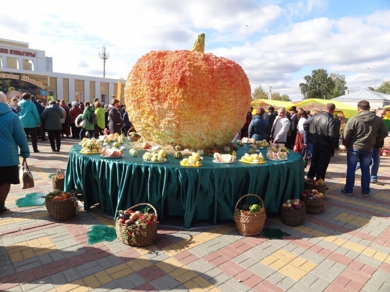 Тыкву выбрали символом праздника не случайно. Оказывается, именно в Пичаевском районе вырастают самые большие и необычные по форме красочные тыквы. 