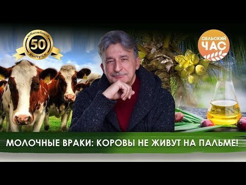 Молочные враки: коровы не живут на пальме! Сельский час #50 (Игорь Абакумов)