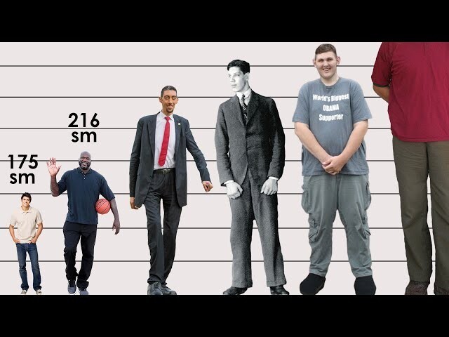 Кто самый высокий человек в мире? 
