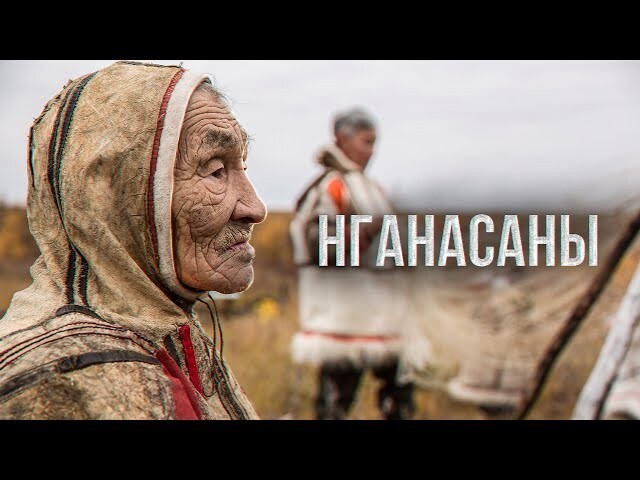 Нганасаны. Самый северный евразийский народ. Таймыр. Быт. История | Факты 
