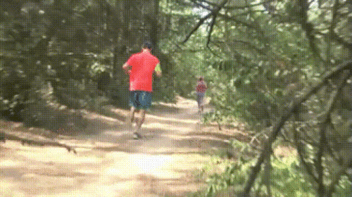 Просто гифки, всякие и разные