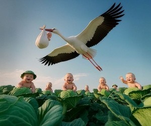 Реклама. АНО НАЦИОНАЛЬНЫЕ ПРИОРИТЕТЫ, ИНН 9704007633, erid: 2W5zFHDnVZA Реклама. АНО НАЦИОНАЛЬНЫЕ ПРИОРИТЕТЫ, ИНН 9704007633, erid: 2W5zFHDnVZA