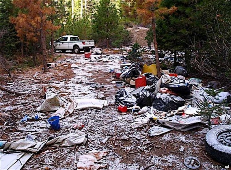 В Америке так же большая проблема со свалками бытовых отходов в лесах:
Shasta-Trinity National Forest