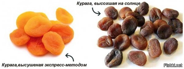 Пластический хирург показал, как бы выглядели знаменитости в свои 50 без пластики