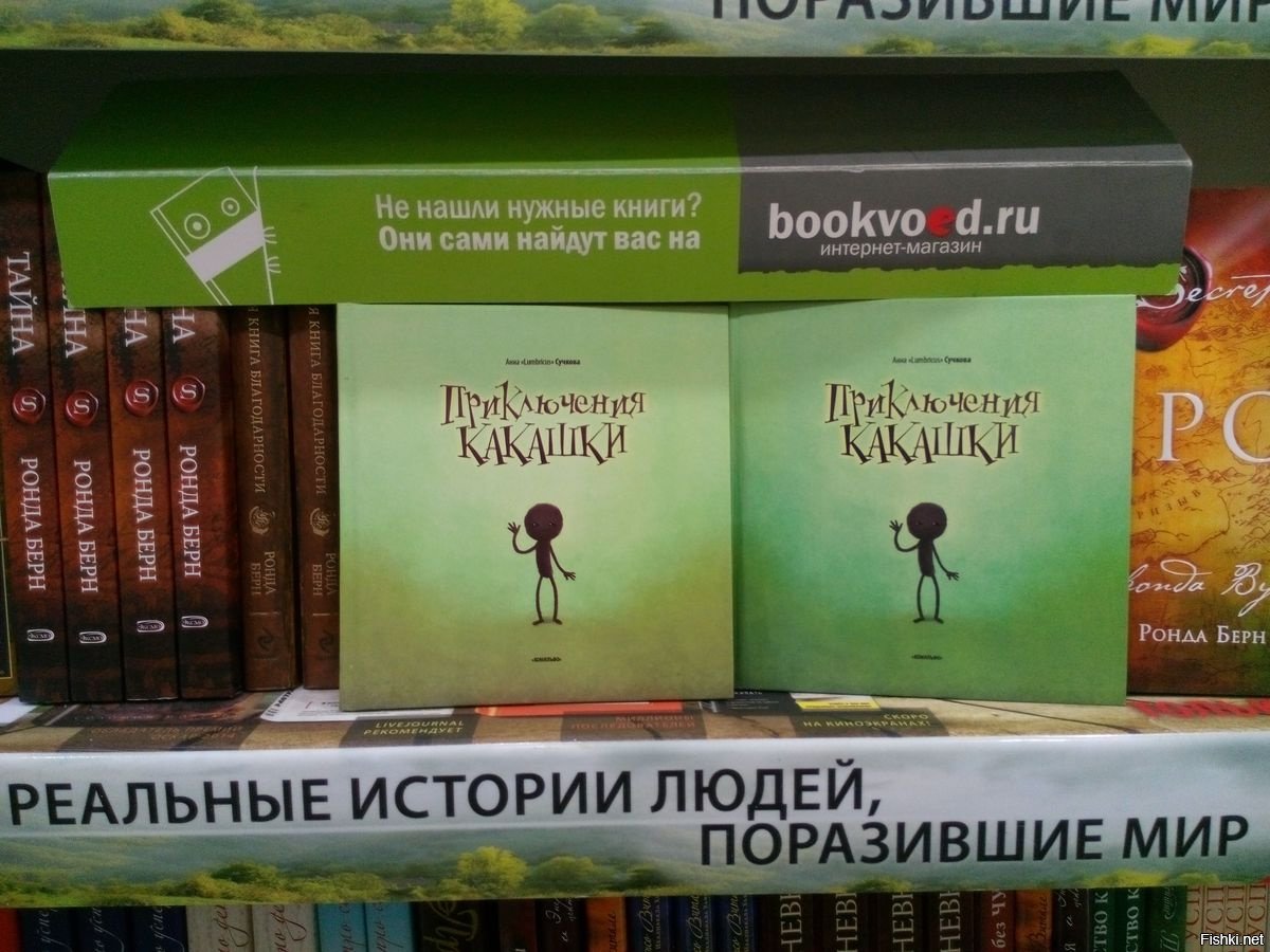 Приключение кака шки книга читать онлайн с картинками полностью