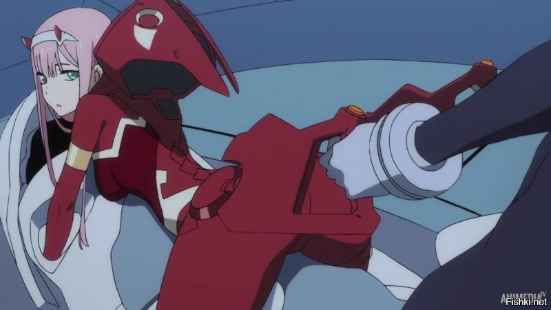 Милый во Франксе - забавное аниме. Их боевые роботы действительно могли управляться только женской и мужской особью одновременно и только раком.))))