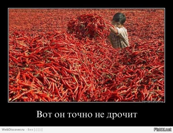 извините...