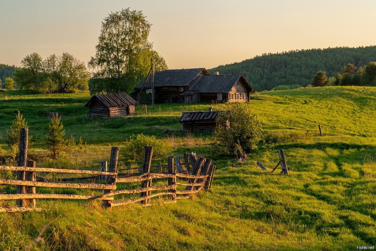 Кенозерский парк осень