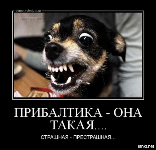Политика , политика