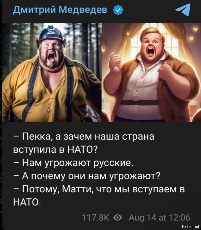 А что произошло в 2022-м чтобы оно хоть как то касалось финнов и шведов? С ними конкретно произошла истерия, которая продолжается и сейчас.