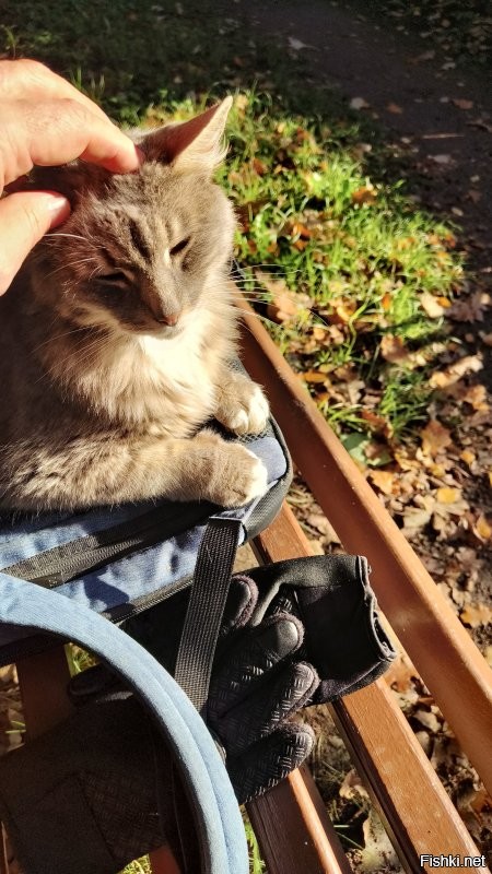 Вчера приключилось такое же чудо! Пришла ко мне на скамейку, когда я лекцию слушал. Стало стало теплее!