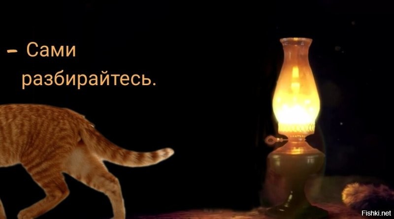 Они все свои разговоры снимают на видео?