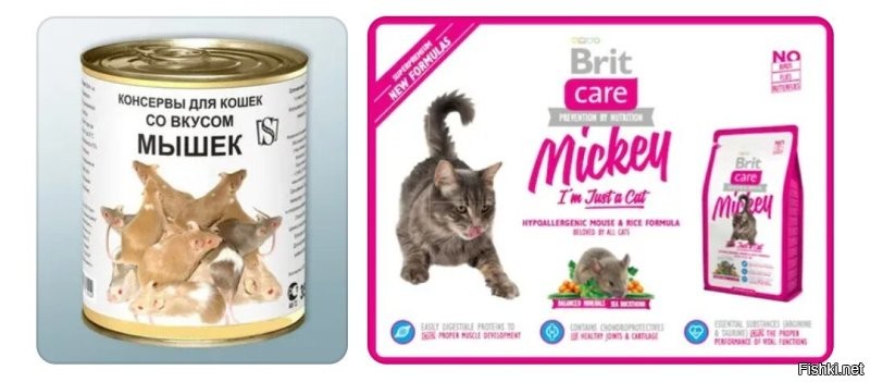 Китайские учёные создали гриб, который может заменить мясо