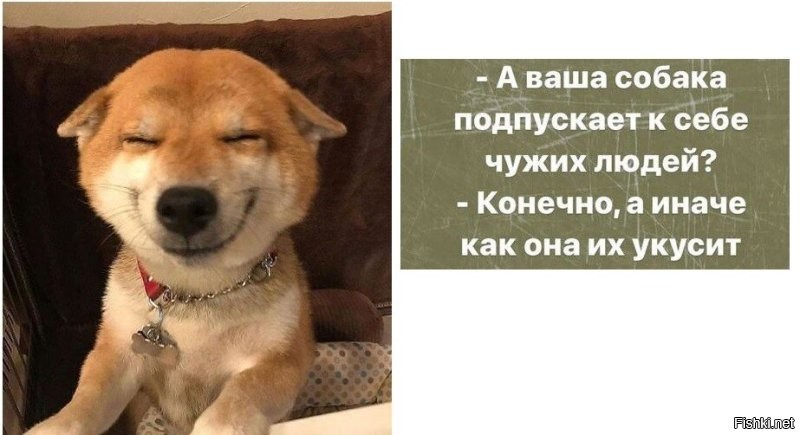 Смешные картинки